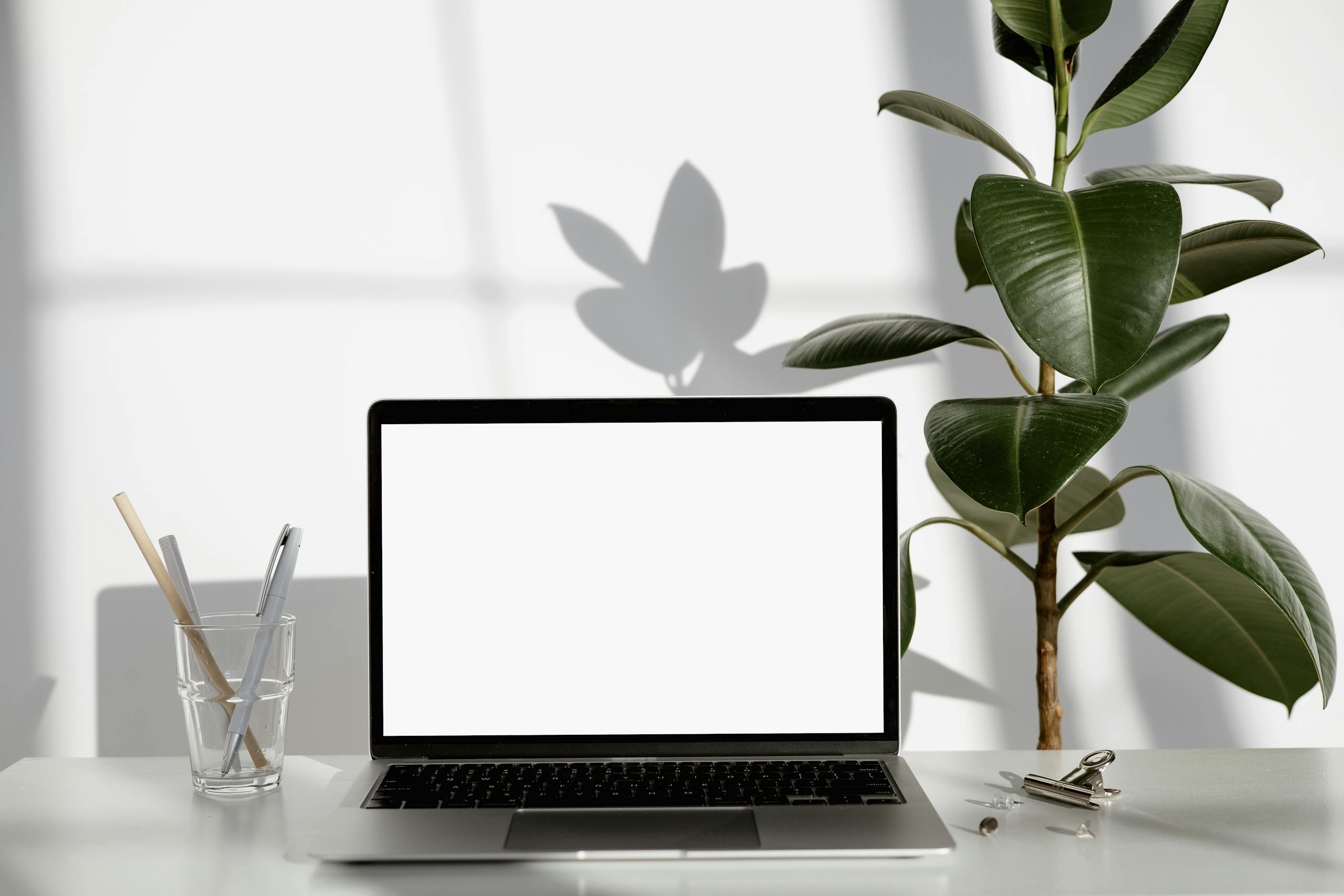 Modern workspace featuring a laptop with blank screen, green plant, and stationery on a white desk.
