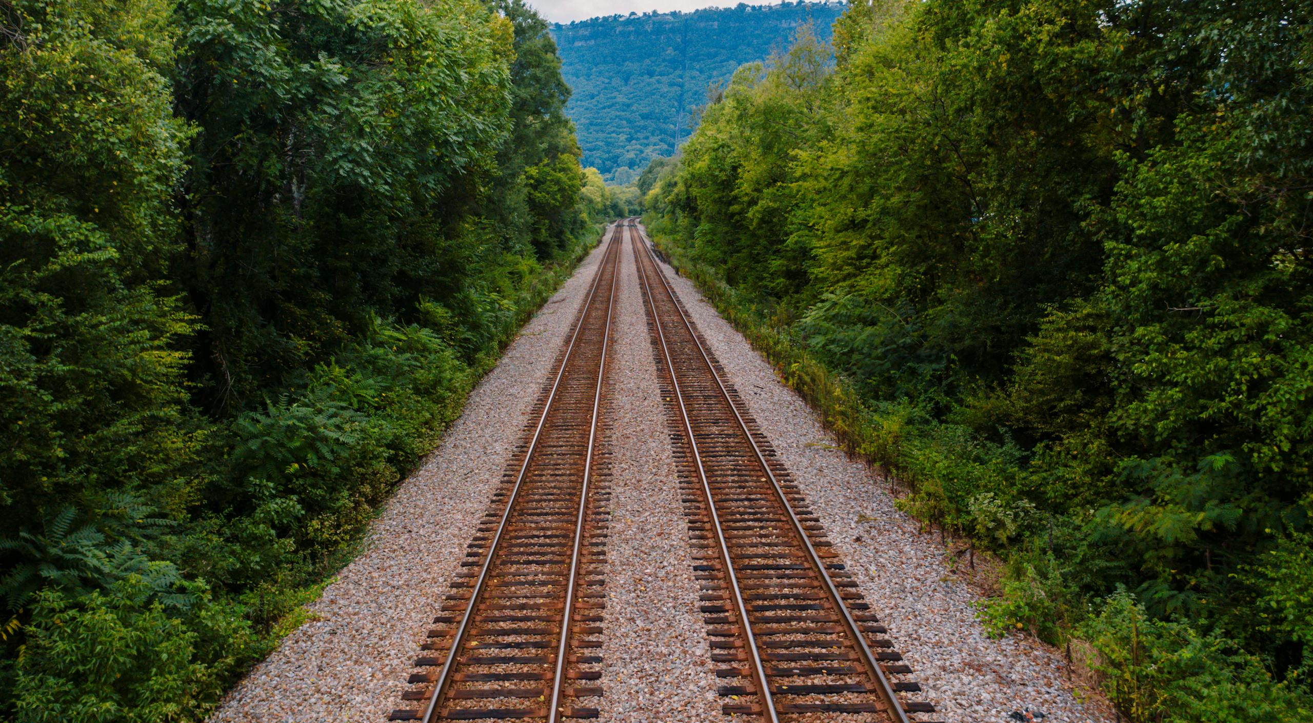 Picturesque scenery of straight empty railroad tracks located amidst lush green forest in mountainous terrain